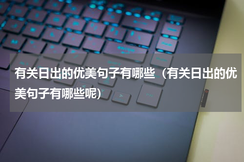 有关日出的优美句子有哪些(有关日出的优美句子有哪些呢)