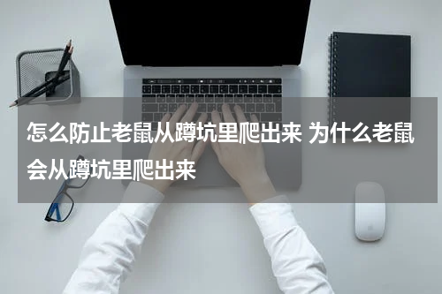怎么防止老鼠从蹲坑里爬出来 为什么老鼠会从蹲坑里爬出来