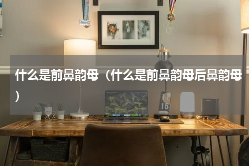 什么是前鼻韵母（什么是前鼻韵母后鼻韵母）