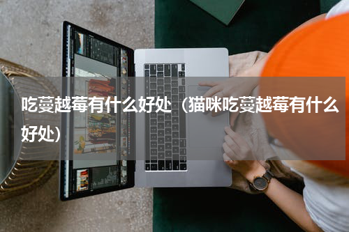 吃蔓越莓有什么好处(猫咪吃蔓越莓有什么好处)