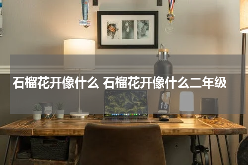 石榴花开像什么 石榴花开像什么二年级