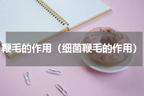 鞭毛的作用（细菌鞭毛的作用）