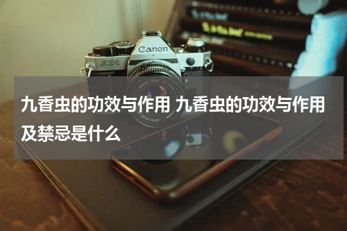 九香虫的功效与作用 九香虫的功效与作用及禁忌是什么