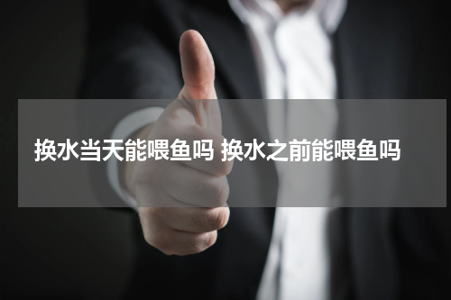 换水当天能喂鱼吗 换水之前能喂鱼吗
