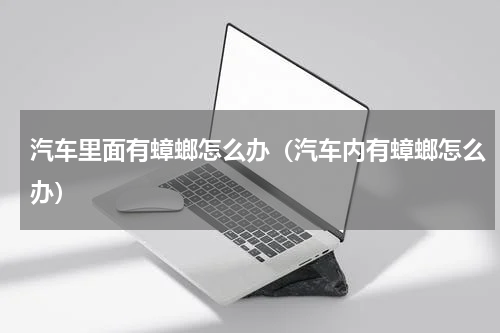 汽车里面有蟑螂怎么办（汽车内有蟑螂怎么办）