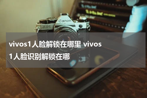 vivos1人脸解锁在哪里 vivos1人脸识别解锁在哪