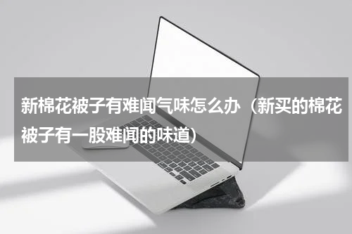 新棉花被子有难闻气味怎么办（新买的棉花被子有一股难闻的味道）