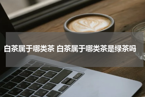 白茶属于哪类茶 白茶属于哪类茶是绿茶吗