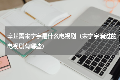 辛芷蕾宋宁宇是什么电视剧（宋宁宇演过的电视剧有哪些）