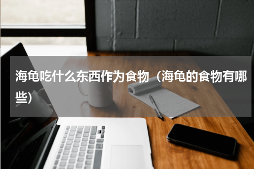 海龟吃什么东西作为食物（海龟的食物有哪些）