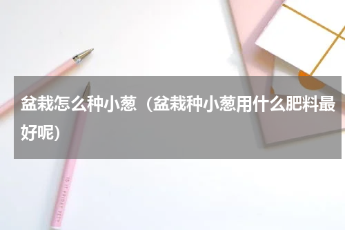 盆栽怎么种小葱（盆栽种小葱用什么肥料最好呢）