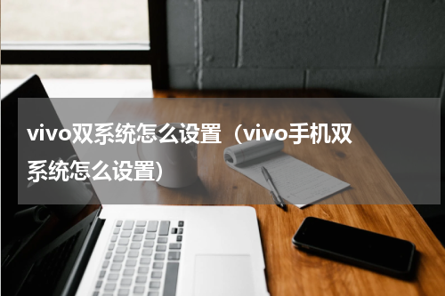 vivo双系统怎么设置（vivo手机双系统怎么设置）