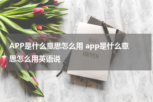 APP是什么意思怎么用 app是什么意思怎么用英语说