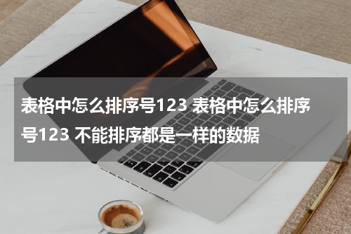表格中怎么排序号123 表格中怎么排序号123 不能排序都是一样的数据
