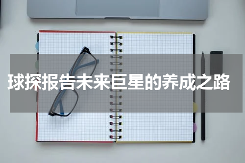  球探报告未来巨星的养成之路