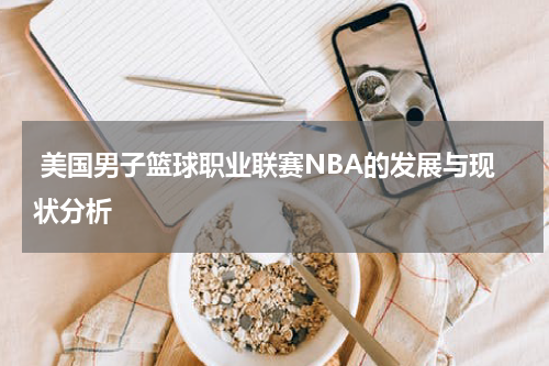  美国男子篮球职业联赛NBA的发展与现状分析